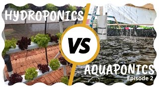 Hydroponics vs Aquaponics  Episode 2 [upl. by Dalli189]