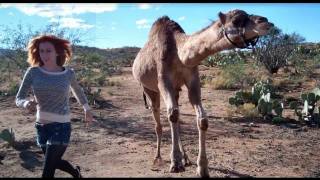 Camel vs Girl in race [upl. by Florin]