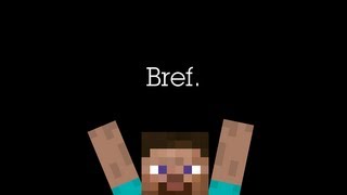 Bref Jai joué à Minecraft [upl. by Erodavlas679]