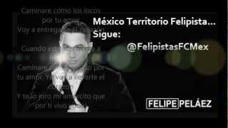 Felipe Pelaez  Caminare Version Salsa [upl. by Nosreh]