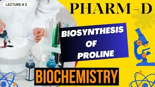 Biosynthesis Of Proline Biochemistry [upl. by Remo]