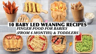 10 BABY LED WEANING RECIPES  FINGER FOOD FOR BABIES FROM 6 MONTHS amp TODDLERS  BLW 6 MONTHS RECIPES [upl. by Bob]