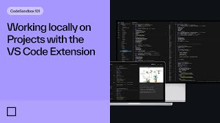 Working locally on Projects with the VS Code Extension [upl. by Brunhild102]