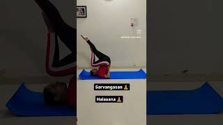 Sarwangasan and Halasana 🧘🧘 [upl. by Trix]