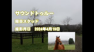 サウンドトゥルー近況報告2024年4月撮影 [upl. by Edythe446]