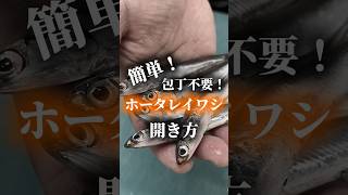 簡単！包丁不要！ボータレイワシ開き方‼️海産物 愛媛グルメ fishing 魚惣菜 釣り 魚市場 fish 松山グルメ イワシ 魚 簡単 捌き方 いわし [upl. by Radmen]