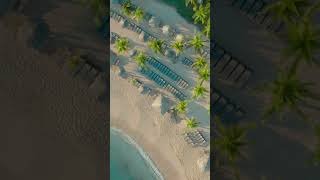 Hyatt Zilara Rose Hall adultsonly allinclusive resort in Montego Bay Jamaica [upl. by Araccot]