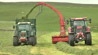 Silage 24 Kongskilde Drag Chopping Fendt 312 NH 7840 Case IH 165 NH T180 2024 [upl. by Aon]