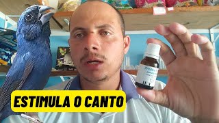 Como fornecer o PROTOVIT PLUS para seu azulão  ESTIMULA O CANTO E APRONTA A FÊMEA [upl. by Tiffany349]