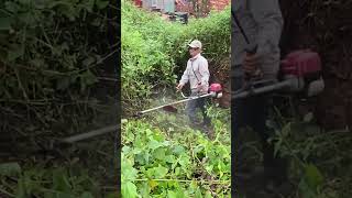 Cutting down trees Clean up house abandoned clean cleanup cuttingdown [upl. by Ethelred]