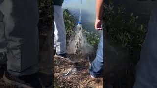 Cast netting bait at the outflow fishing texascoast shorts [upl. by Yeznil]