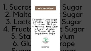 Carbohydrates with other names  Biology Bloom [upl. by Fulcher]