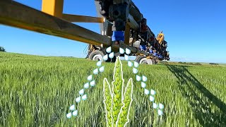 TOP 3 Spraying Tips  Fungicide Timing amp Nozzles [upl. by Peltz]