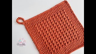 🇺🇸 How To Crochet Potholder  Washcloth BEGINNER [upl. by Yerfdog32]