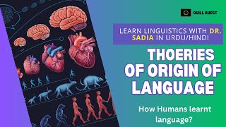 Theories of origin of language [upl. by Kila]