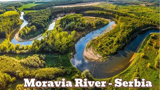 Serbia’s Hidden Paradise Moravia River Travel [upl. by Mayap]