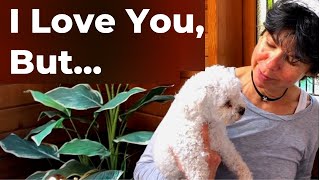 Rehoming Your Dog Coping With Guilt amp Grief When You Have to Give Your Dog Away [upl. by Bruis]