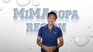 REGION 4B  MIMAROPA REGION [upl. by Cirdec]