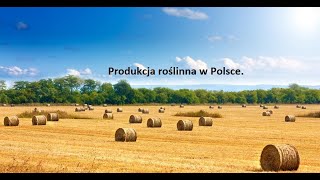 Produkcja roślinna w Polsce 7422 [upl. by Llennehc391]