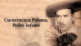 Cucurrucucu Paloma  Pedro Infante [upl. by Rahr]