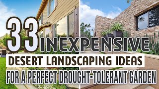 33 Inexpensive Desert Landscaping Ideas For a Perfect DroughtTolerant Garden [upl. by Naynek163]