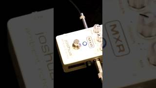 MXR Joshua Ambient Echo mxr echo effects review fender bass guitar fun instrumental shorts [upl. by Rennat]