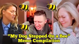 Amber Heard “My Dog Stepped On a Bee” Meme Compilation [upl. by Nerita154]