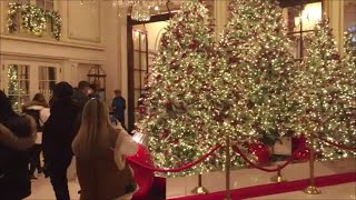 Elegant Christmas Decorations at Plaza Hotel and Dior in New York City  Apple Store [upl. by Annaear257]