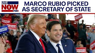 Trump cabinet Marco Rubio expected to be named as Secretary of State  LiveNOW from FOX [upl. by Savitt]