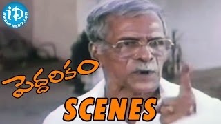 Peddarikam Movie  NN Pillai And Vijayakumar Emotional Scene  Jagapathi Babu  Sukanya [upl. by Erlandson732]