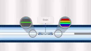 FBG Optical Sensing Overview [upl. by Edrahc]