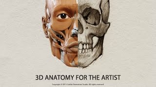 Anatomy for the Artist  App  Old version [upl. by Elledoj]