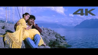 Thelusa Manasa  Criminal 1994  Telugu 4K Video  HD Audio Song  Nagarjuna Manisha Koirala [upl. by Ettevey539]