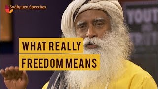 What really “Freedomquot means  Sadhguru Speeches [upl. by Ahsia180]