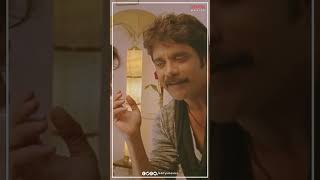 Ragada Movie Scenes  Nagarjuna  Anushka Brahmanandam Shorts YTShorts hindimusicworld8960 [upl. by Rice]