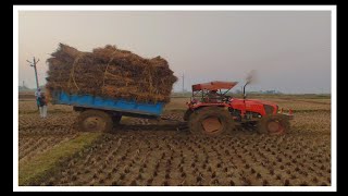 Kubota MU 5502 4wd Tractor On Full Loaded Trolley Performance  Full Loaded Trolley In Mud Kubota [upl. by Alyss490]