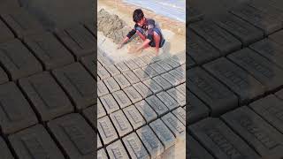 BRICKS brickindustry construction shortvideo beef brick brickworks beefmeat meat [upl. by Strade307]