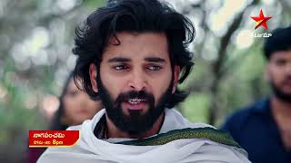 NagaPanchami  Promo  23rd Jan 2024  Star Maa Serials  Mon Sat at 8 pm  Star Maa [upl. by Enelyam]