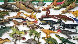 30 Dinosaurs With 6 Type Tyrannosaurus Rex Dinosaur Names And Sounds [upl. by Nala223]