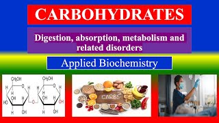 CARBOHYDRATES  Digestion absorption metabolism related disorder Applied Biochemistry Nursing [upl. by Schroeder315]