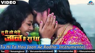 Tu Hi Ta Hau Jaan Ae Radha Instrumental Tu Hi To Meri Jaan Hain Radha [upl. by Anibla938]