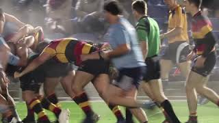 Irish Rugby TV UCD v Lansdowne AIL Highlights amp Reaction [upl. by Lucila761]