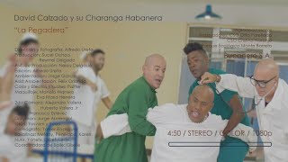 Charanga Habanera  La Pegadera Video Oficial [upl. by Ailices]