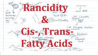 11 Cis Trans Fatty Acids amp Rancidity [upl. by Assel681]