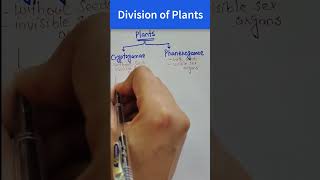 Division of Plants  Classification of Plant Kingdom [upl. by Vokay]