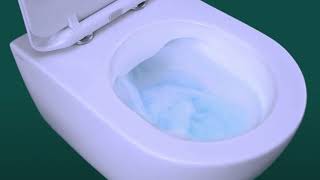 What are Rimless Toilets [upl. by Benildis]