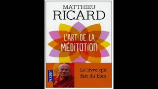 LART DE LA MÉDITATION LIVRE AUDIO SPIRITUEL DE MATHIEU RICARD [upl. by Britni]