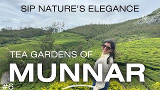 Tea Gardens of MUNNAR  Mattupetty Dam  Episode 6 Wadhwa’s vlog [upl. by Toomin]