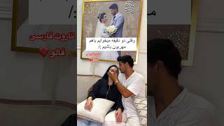 Farsi Tarot رابطه های سگ و گربه ای این روزها 🤣 [upl. by Neuburger]