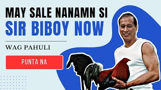 MAY PA SALE NANAMAN SI SIR BIBOY ENRIQUEZ PUNTA NA [upl. by Aniale]